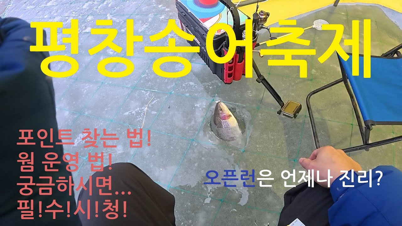평창송어축제 개장일! (웜별 액션법, 지그헤드 선택 법,자리 찾는 법 초보라면 시청 필수!)