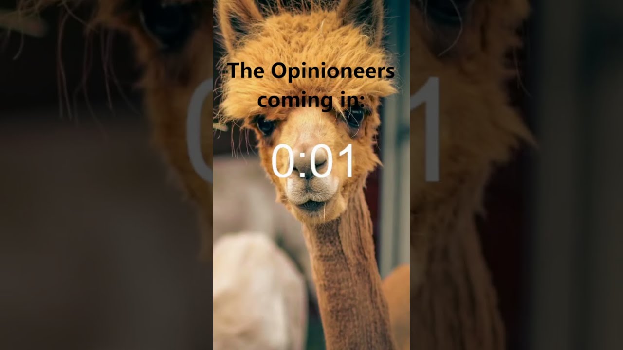 The Opinioneers Episode 17 - Making the wrong choice, what now?