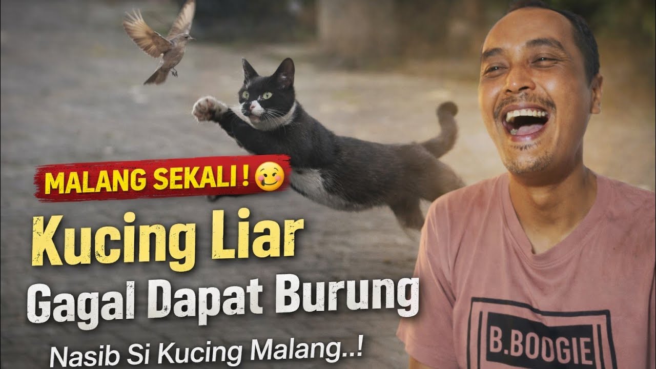 KUCING LIAR INI MENGINTAI BURUNG… DETIK-DETIK MENEGANGKAN, AKHIRNYA MALAH ZONK! 😱