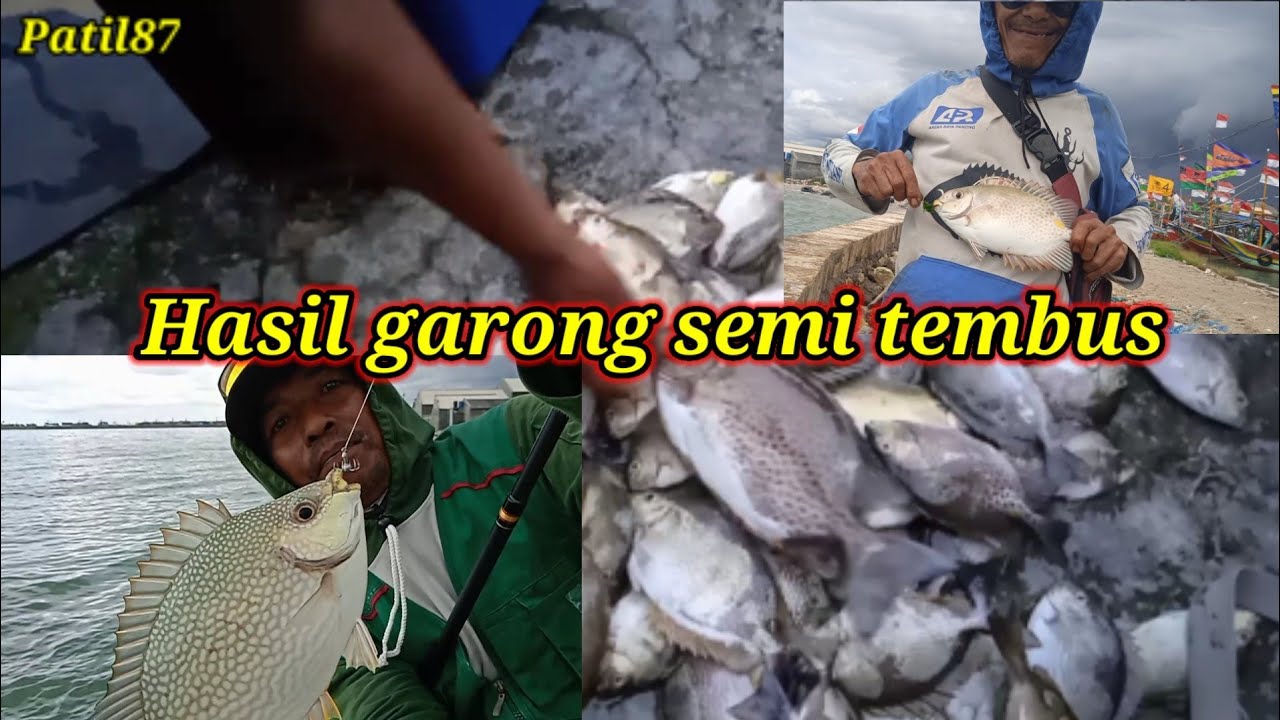 Hasil garong semi tembus #patil87 #garongsemitembus #umpantembus