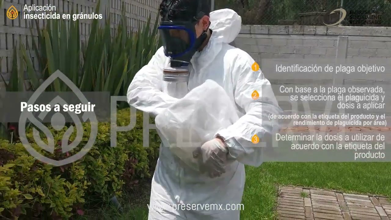 Aplicación correcta de insecticida en granulado