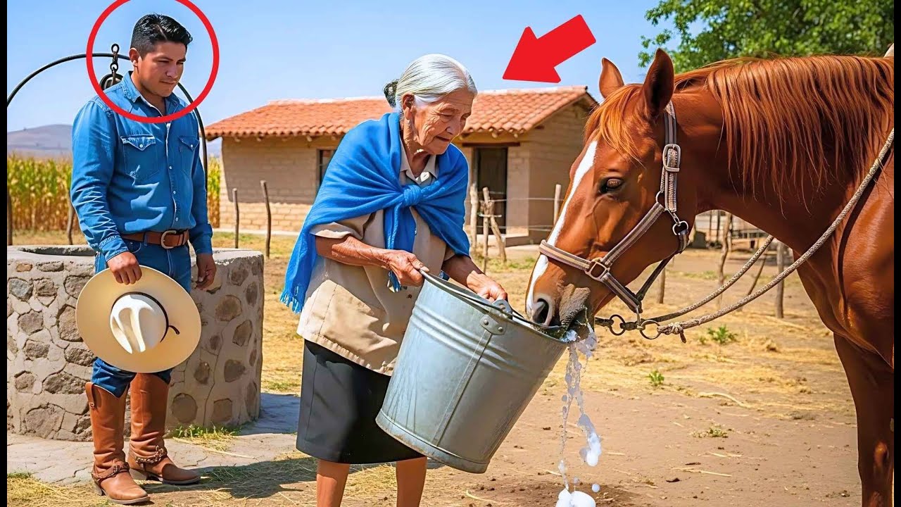 La Anciana Sacó Agua del Pozo para el Caballo del Ranchero — Sin Saber que Cambiaría su Destino