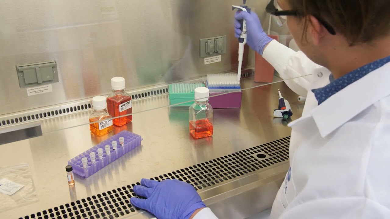Organoid Core Kit Instructional Video