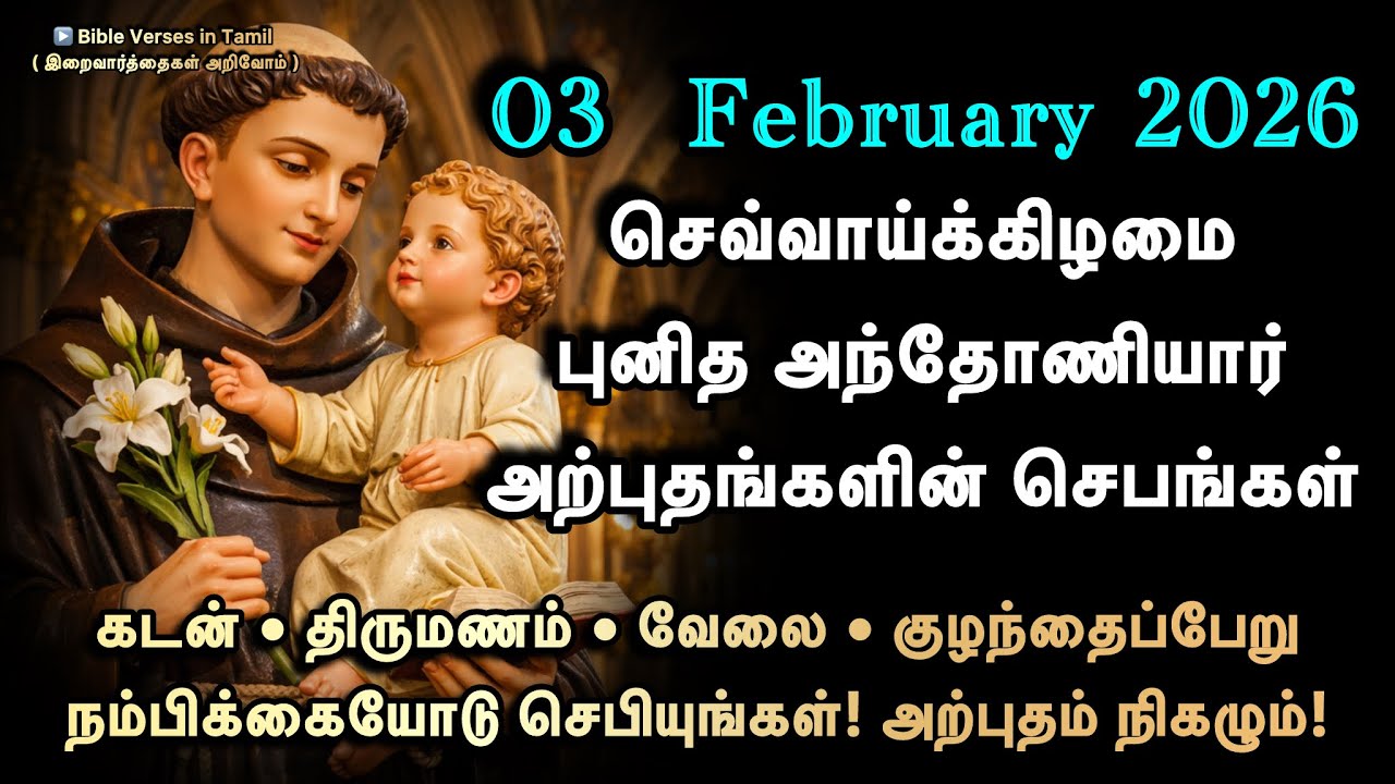 03 February | செவ்வாய் | புனித அந்தோணியார் சிறப்பு மன்றாட்டு | கடன், திருமணம், குழந்தைப்பேறு செபம் 