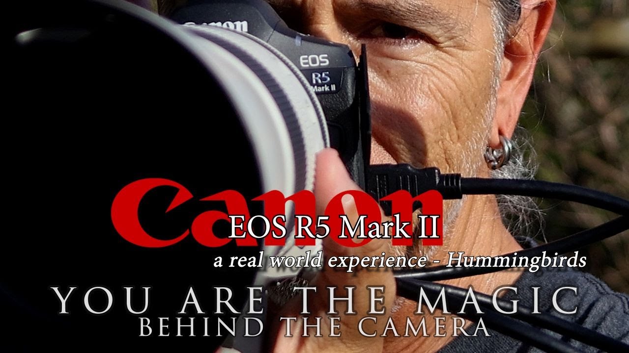 Canon R5 Mark II - a real world hummingbird experience with 2 lenses - 800 F11 and 100-500mm L lens