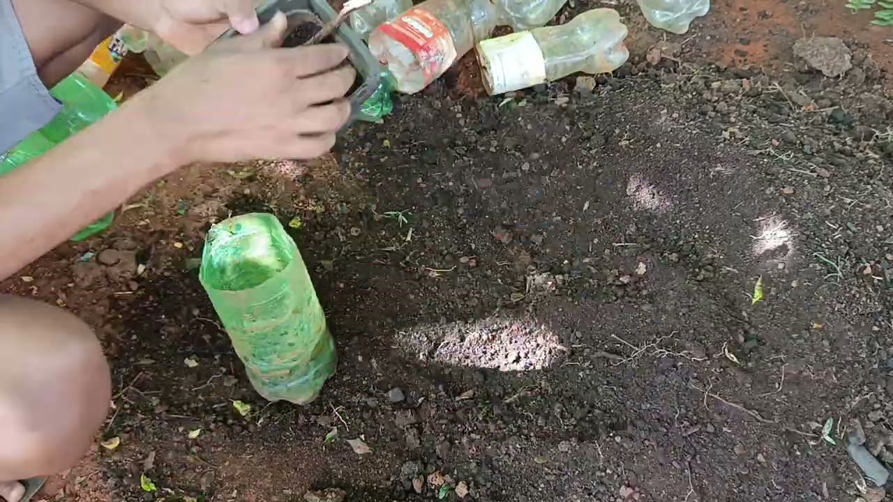 Enchendo litros descartáveis pra fazer mudas de plantas 