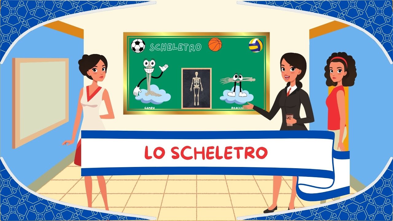 Lo scheletro - Apparato locomotore - Anatomia per bambini