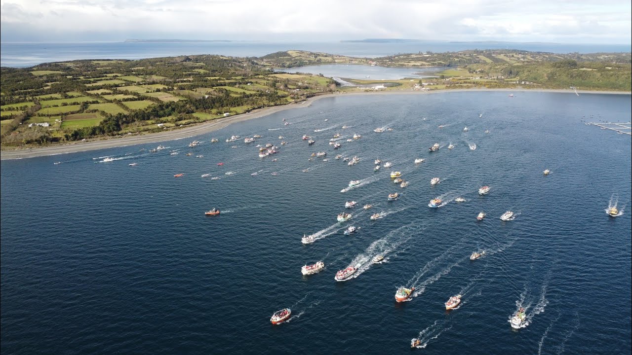 Tradicional competencia a remo "Preba", en la isla Apiao en Chiloé