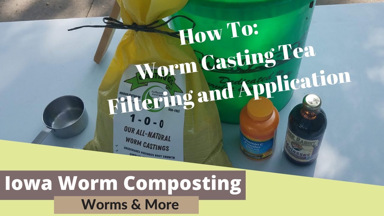 Worm Casting Tea Filtering and Application