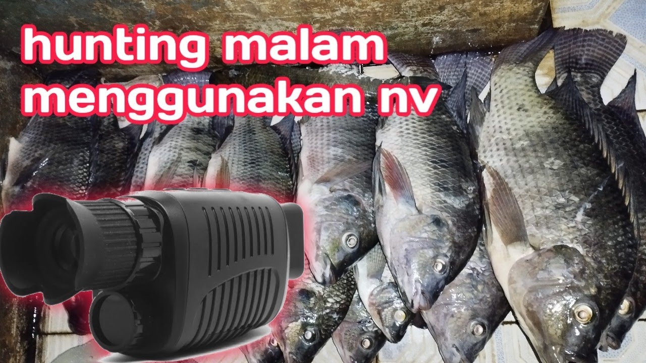 penasaran ingin liat hasil nyah. nv murah tapi hasil ny lumayan gak murahan#sniperfish  #nighvision