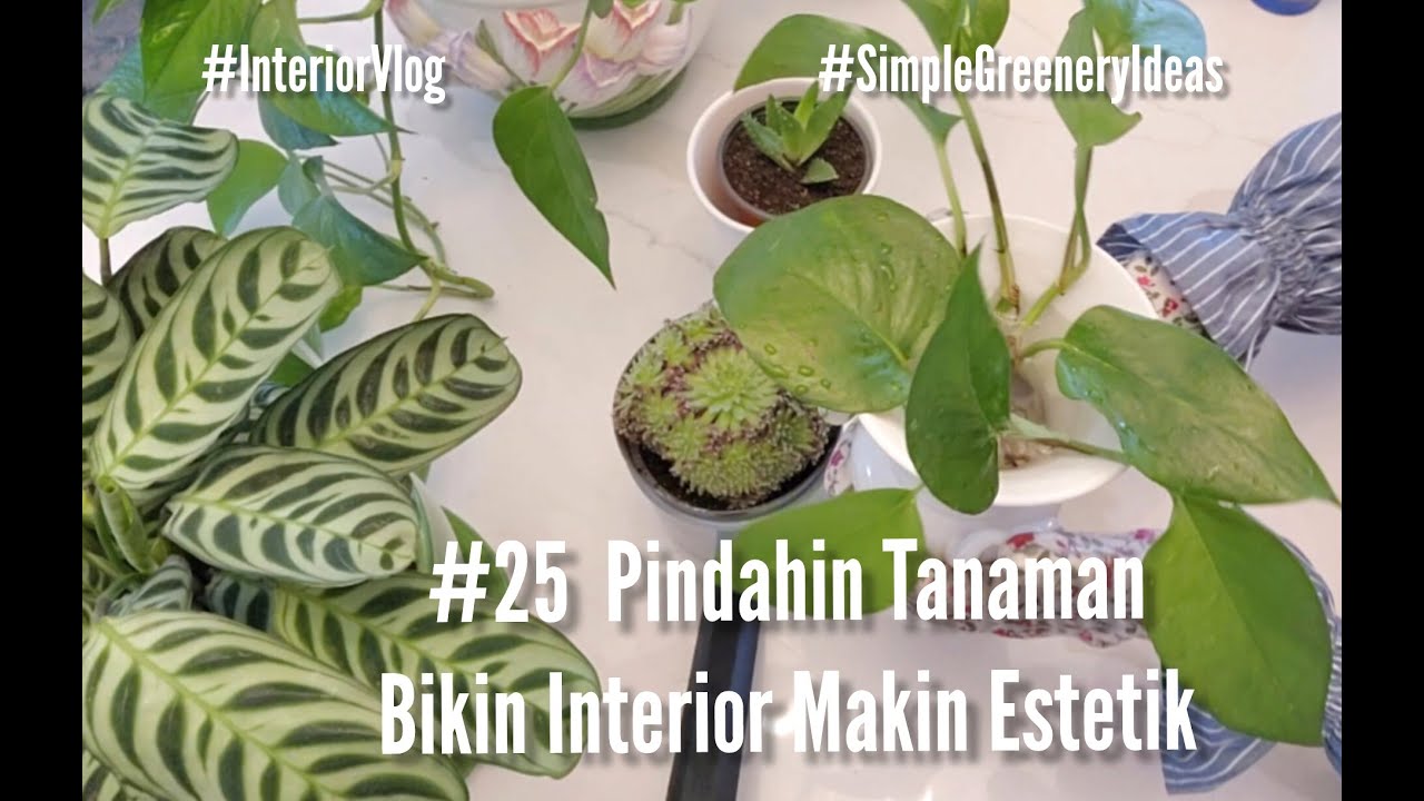#25  A Fresh Look, Cozy & Green 🌿| Styling Indoor Plants to Glow Up Our Home | Simple Greenery Ideas