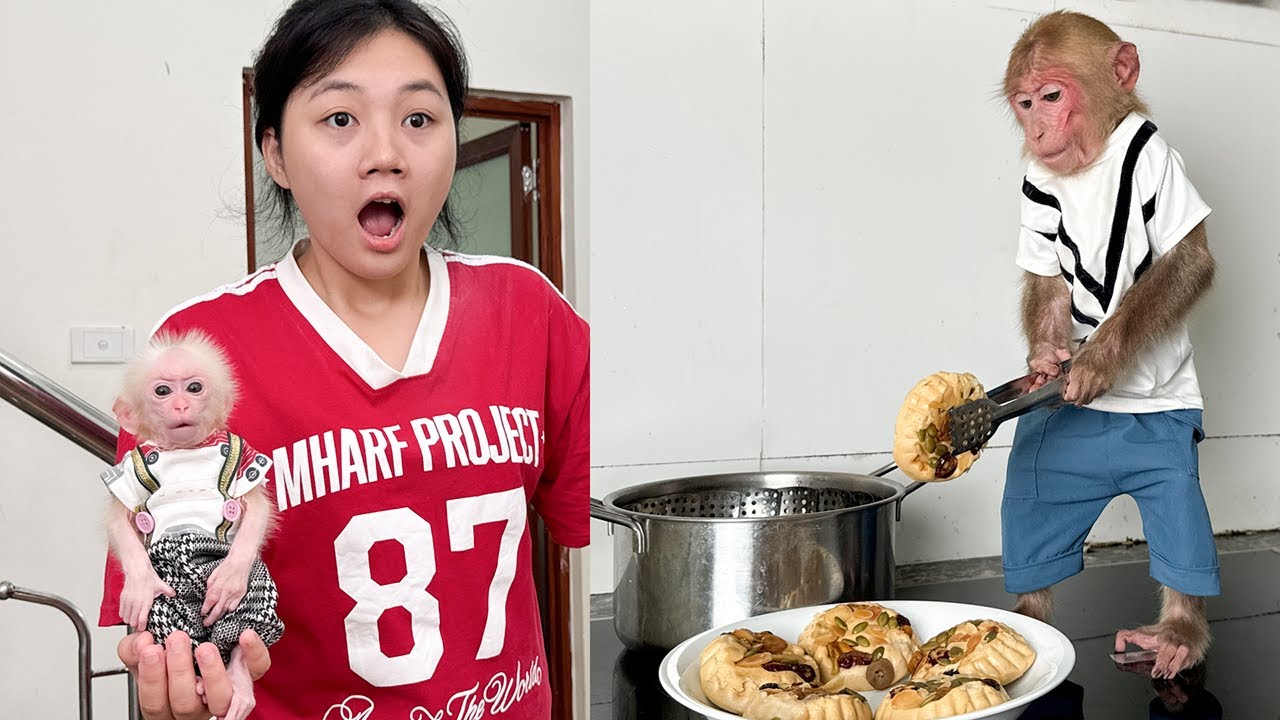 Bibi wakes up early to prepare breakfast and take care of the ducklings!