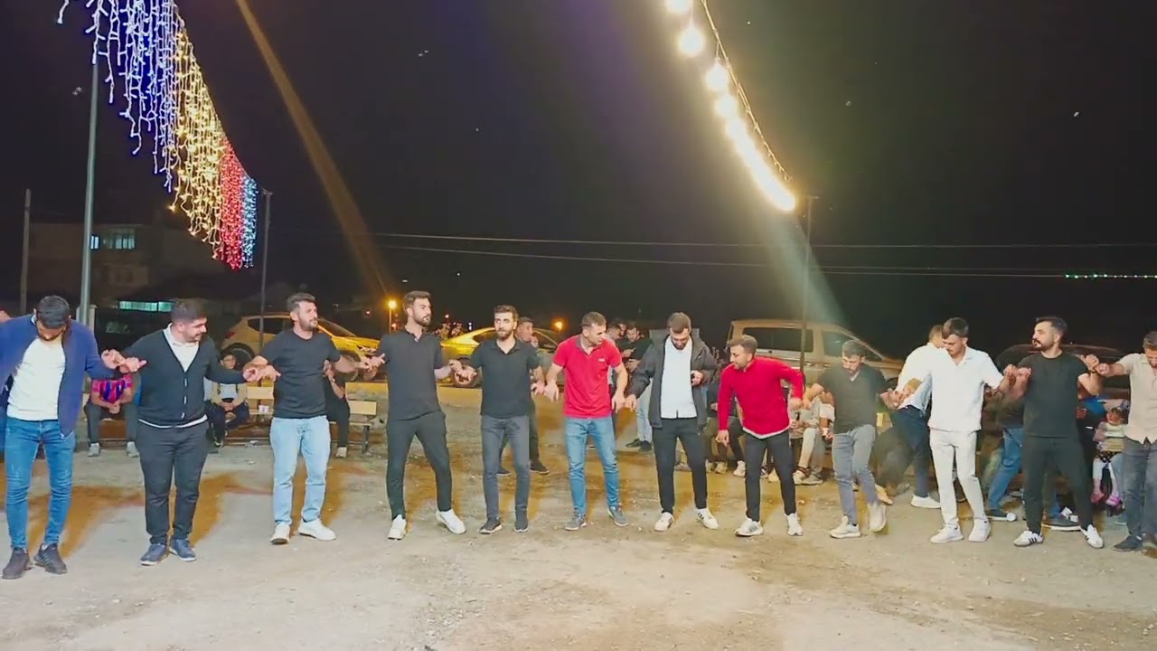 Erzurum Tekman Hürriyet mahallesi Koma dilbirin