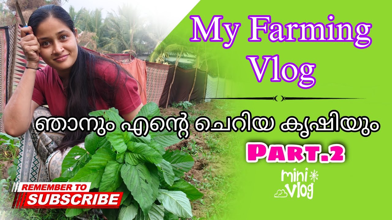 Part 2 : ഞാനും എന്റെ ചെറിയ കൃഷിയും | My Farming Vlog #vlog #farming 