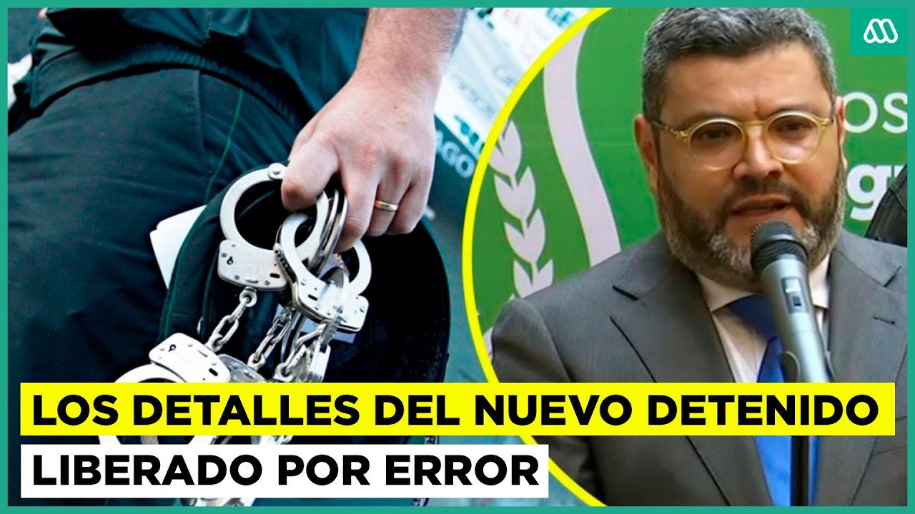 Gobierno entrega detalles sobre detenido liberado por error en Viña del Mar