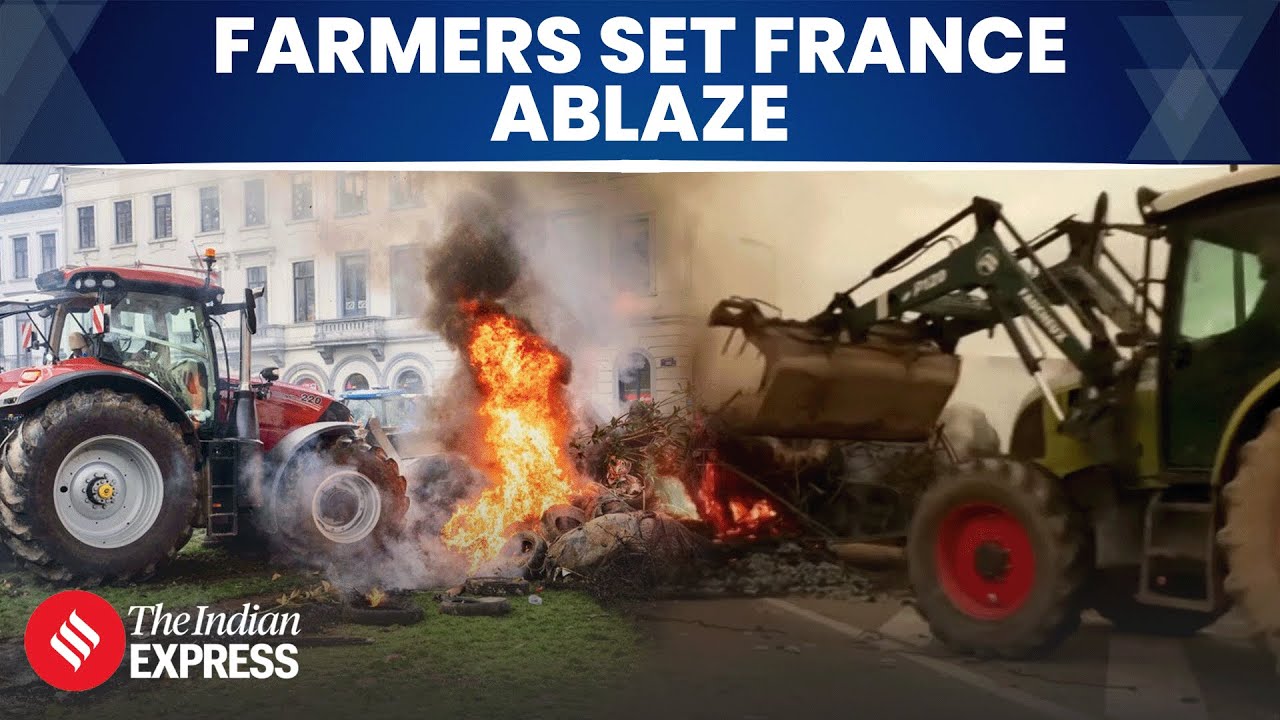 French Farmers Erect Burning Barricades in Avignon as Anger Grows Over Cow Culling Policy