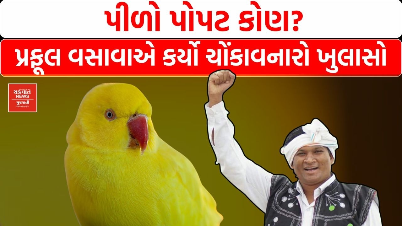 દેડીયાપાડાનો પીળો પોપટ કોણ? Praful Vasava એ કર્યા ચોંકાવનારા ખુલાસા!