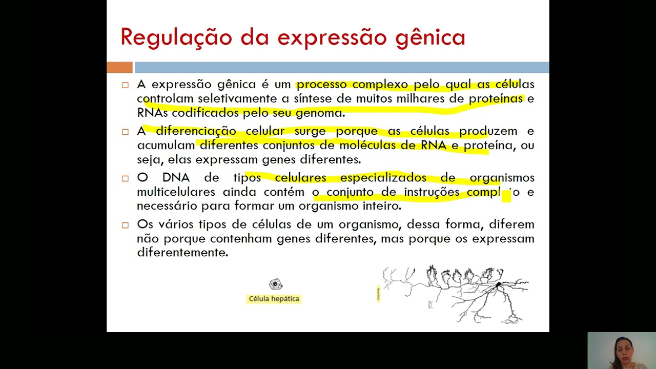 Genoma - Módulo B - Aula Regulação da Expressão gênica