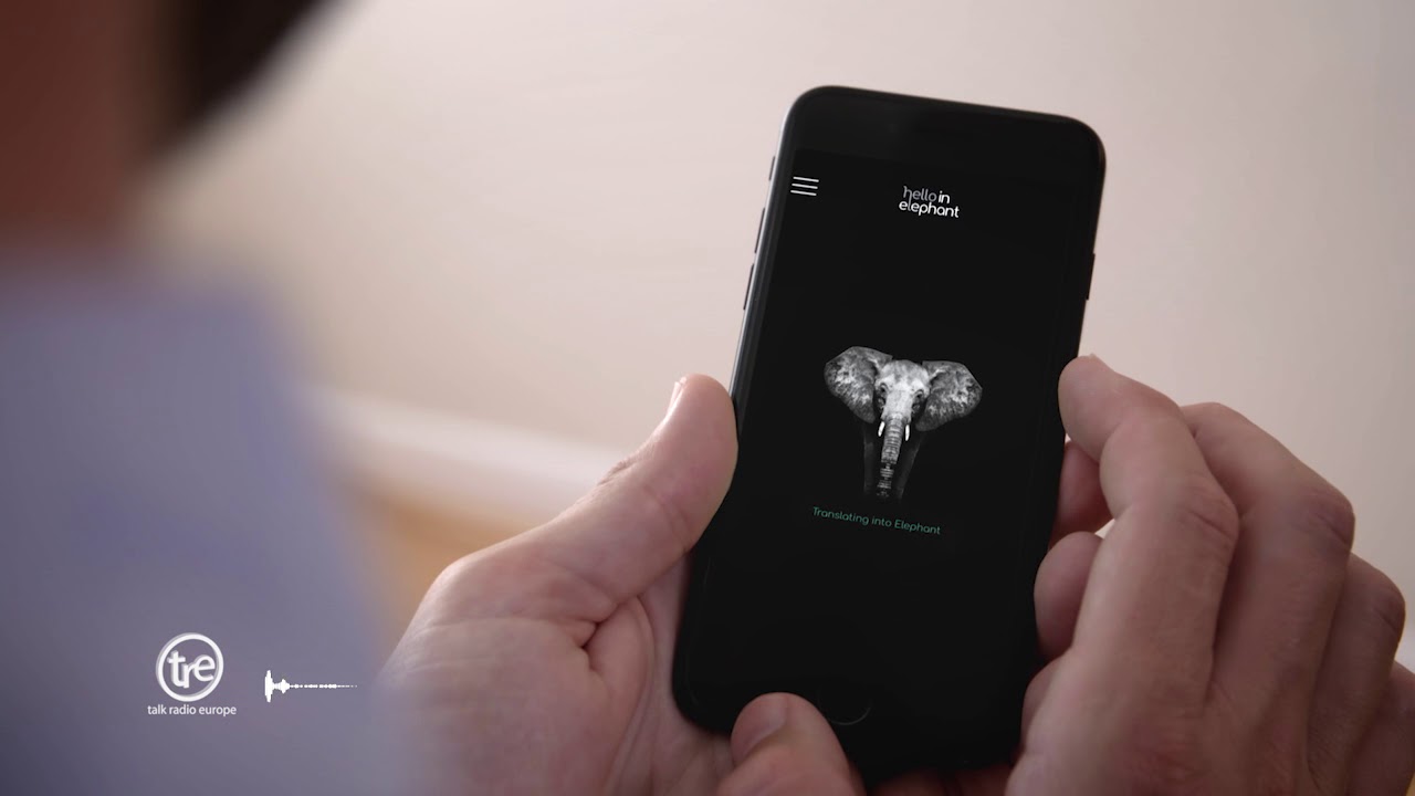 Hello in Elephant Case Study via WhiteGrey