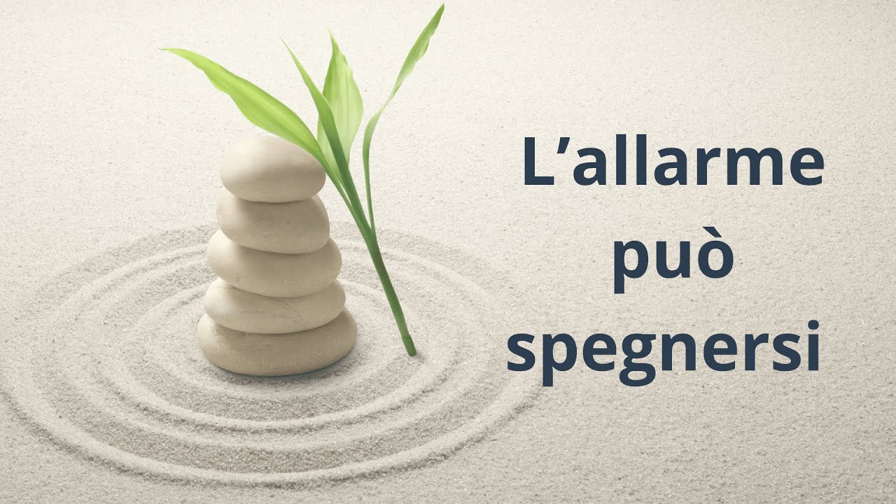 Quando il cervello è in allarme: meditazione per calmare l’ansia