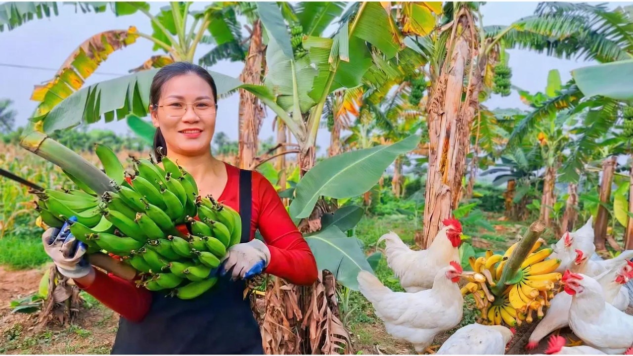 Thuy Gardening | A Peaceful Day Feeding Chickens with Bananas & Cooking Braised Fish
