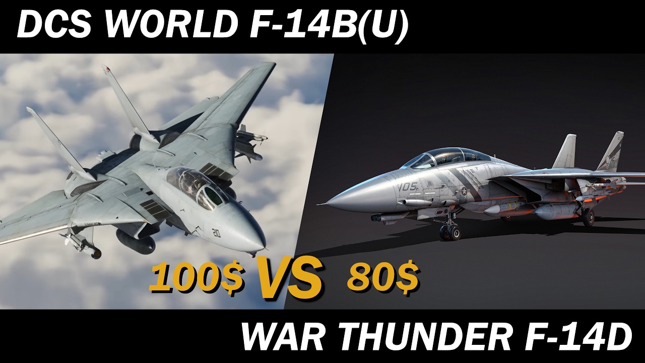 Is 100$ too expensive? | DCS VS War Thunder F-14 Tomcats