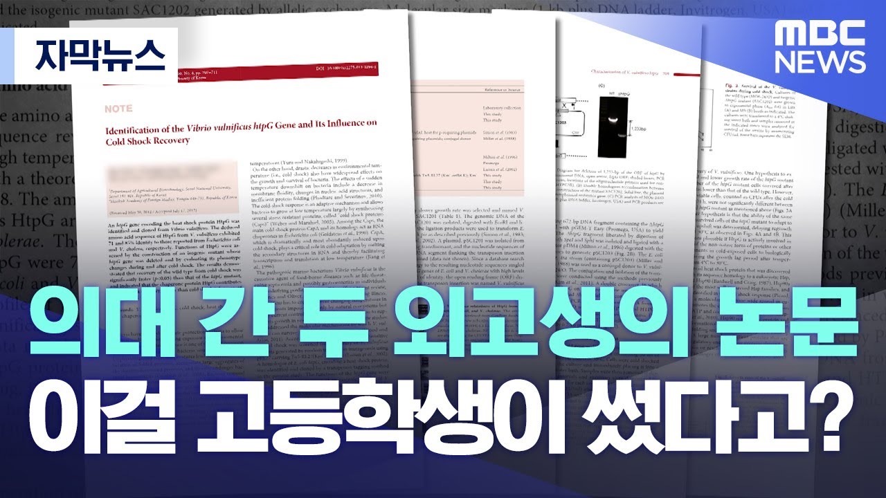 [자막뉴스] 의대 간 두 외고생의 논문..이걸 고등학생이 썼다고요? (2022.04.26/MBC뉴스)