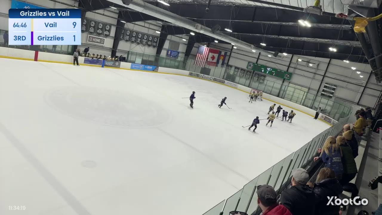 State Tournament Game 1: GRIZZLIES VS. VAIL