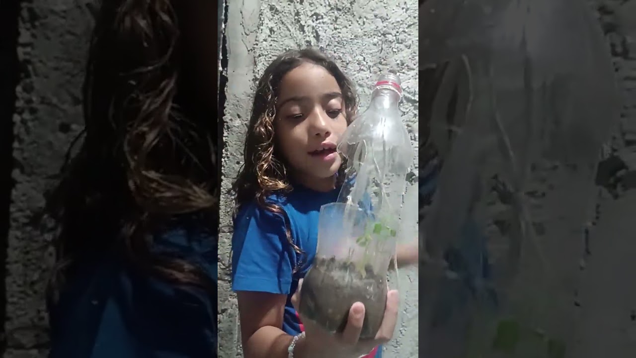 # Yasmin Gleiciane mostrando a sua plantinha 🌱 de semente de maracujá 