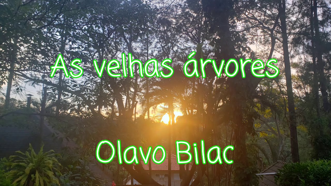 Poema para refletir 