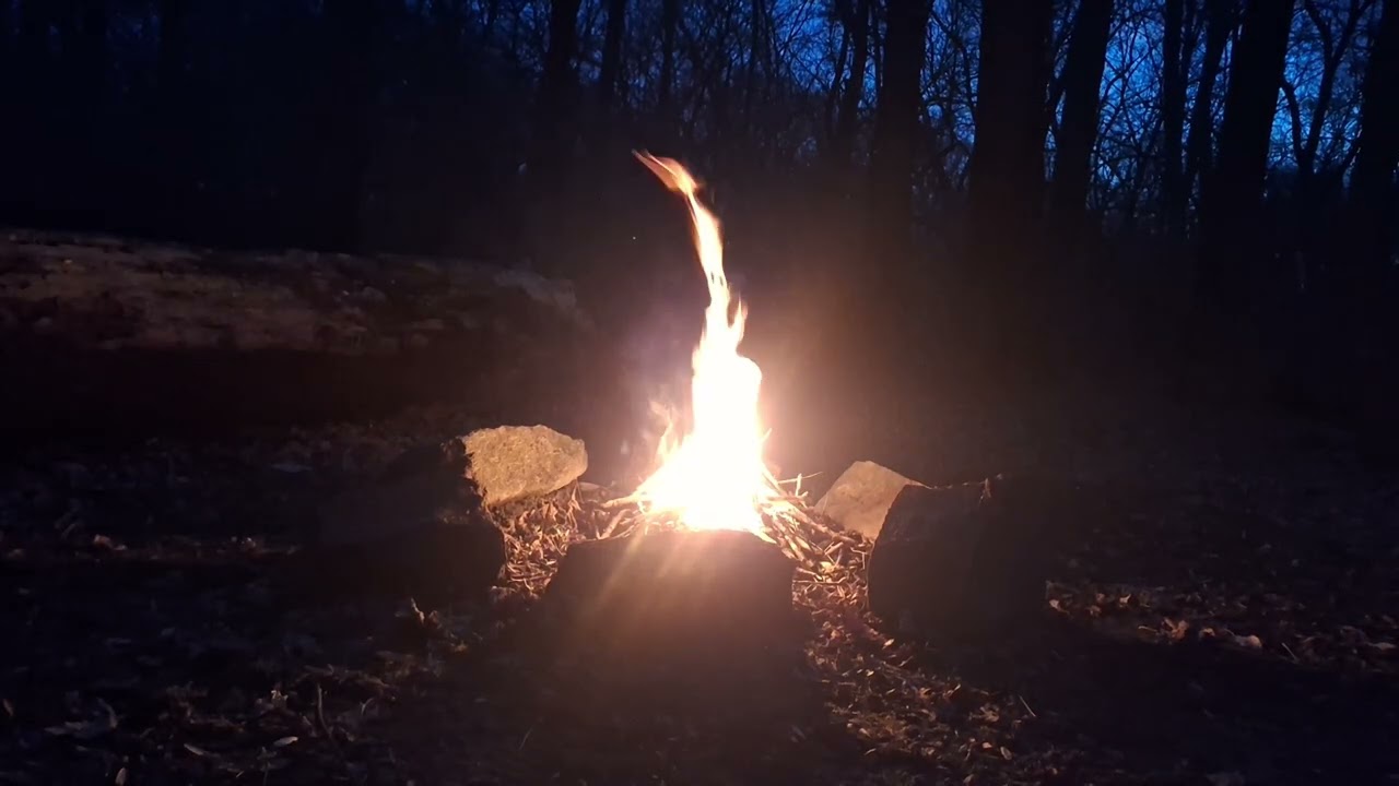 Urban Park Campfire