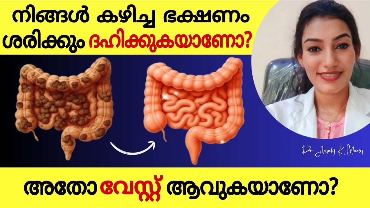 100% നാച്ചുറൽ ആയ വഴികൾ | നിങ്ങളുടെ ദഹനം ശരിയാകും❗Dr Anjaly K Manoj 