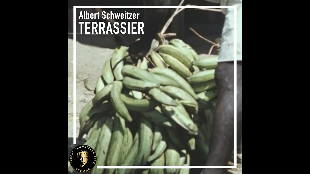 Albert Schweitzer terrassier