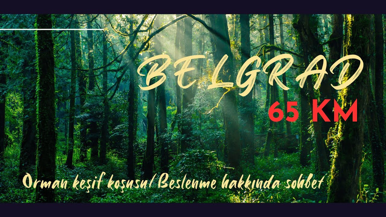 Belgrad Ormanı'nı tanıyalım