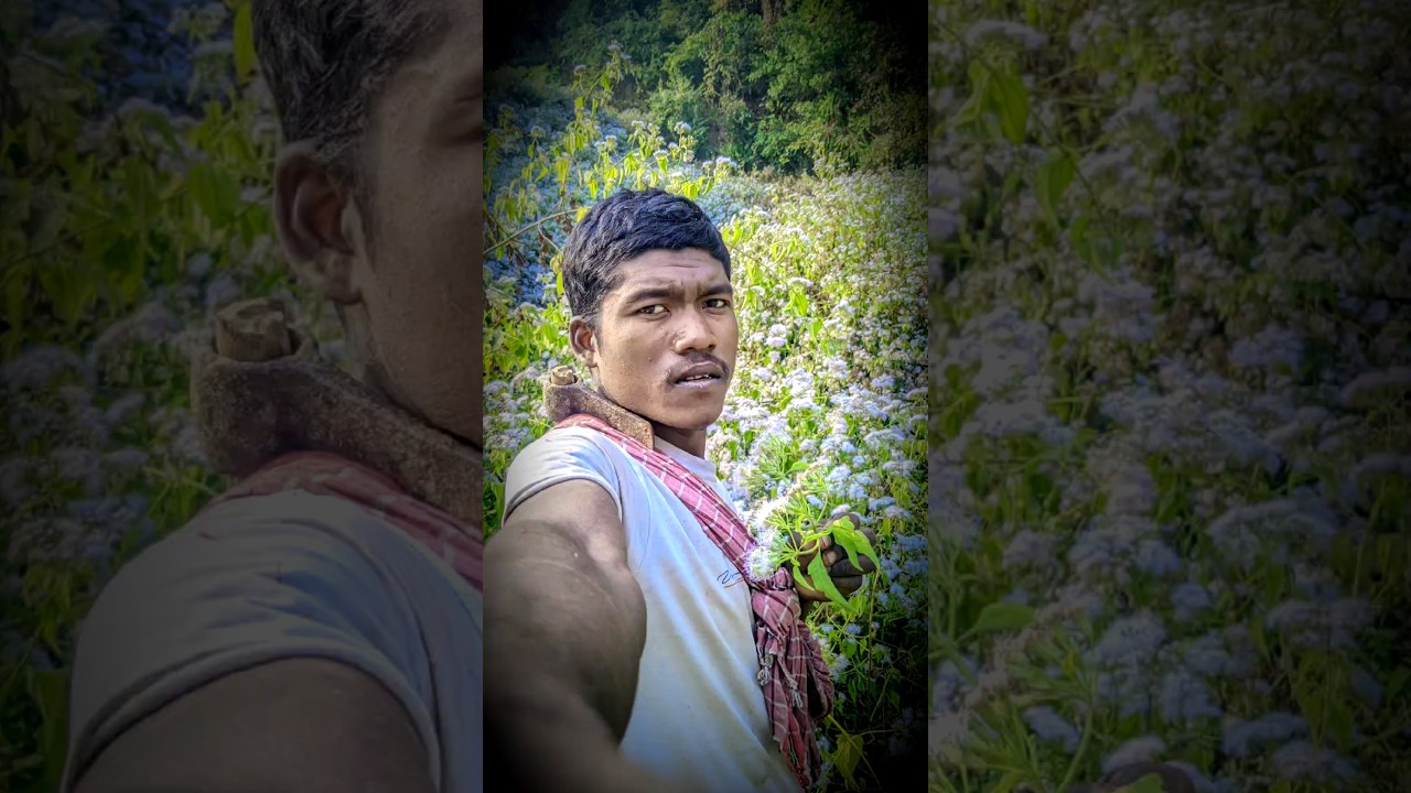 New Nagpuri Video 2025