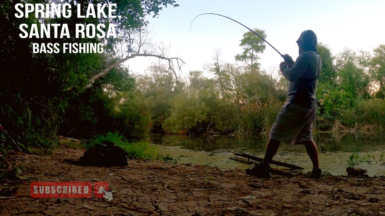 Topwater Largemouth Bass Fishing, Spring Lake [ Late Evening Fishing ]