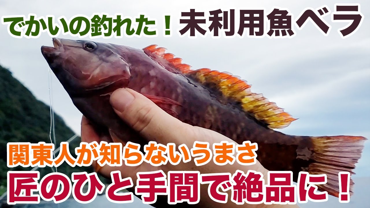 【関東人が知らないうまさ】未利用魚ベラも、ひと手間で絶品に！