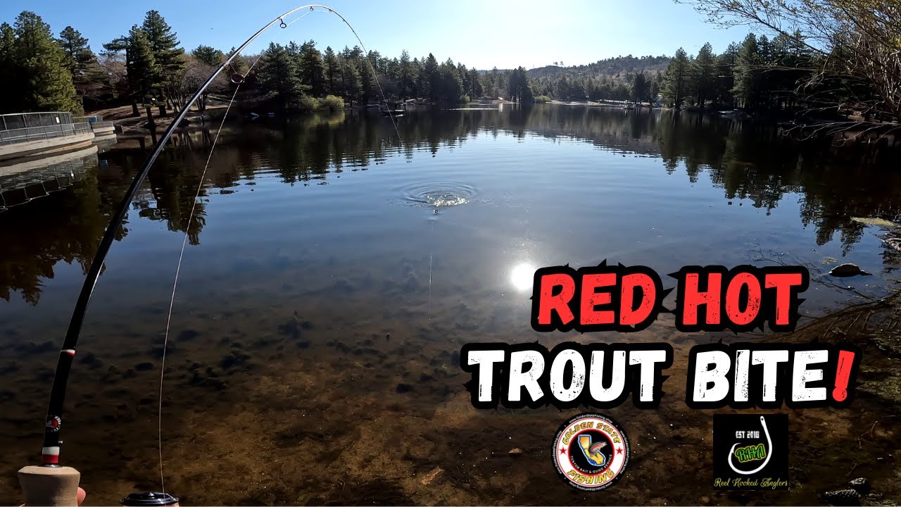 Red Hot Trout Bite at Green Valley Lake