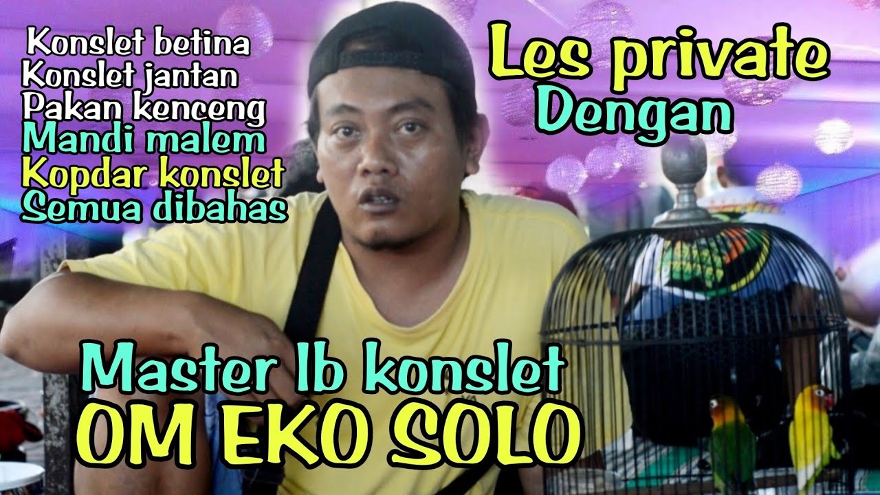 BELAJAR Seputar lovebird konslet,bahan konslet,pakan kenceng,mandi malem,kopdar konslet