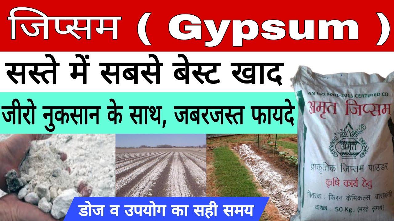 जिप्सम के उपयोग से भूमि बनेगी उपजाऊ और उत्पादन होगा जबरजस्त | use of gypsum in soil |