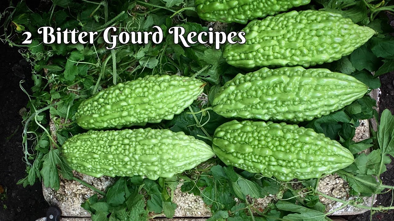 Bitter gourd recipes | Karela recipe |Pavakkai recipe |Kaippakka recipe | Kakarakaya recipes |EP#216
