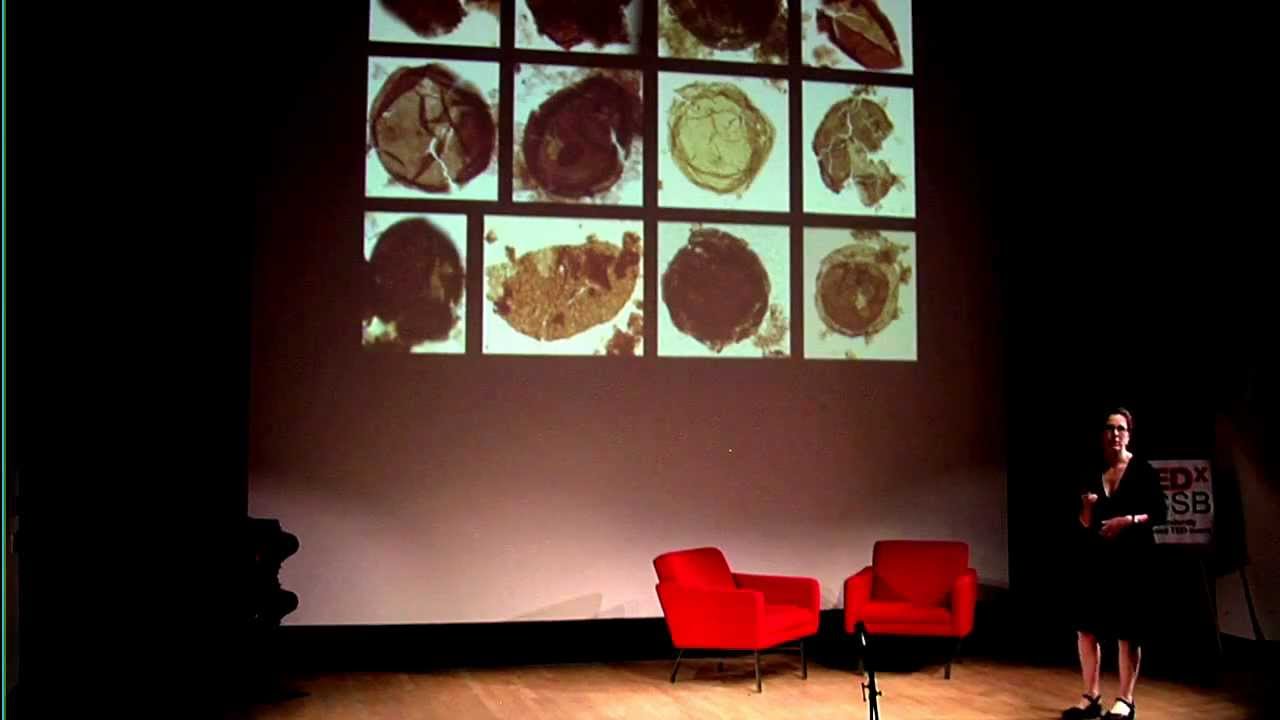 Strange worlds: Susannah Porter at TEDxUCSB