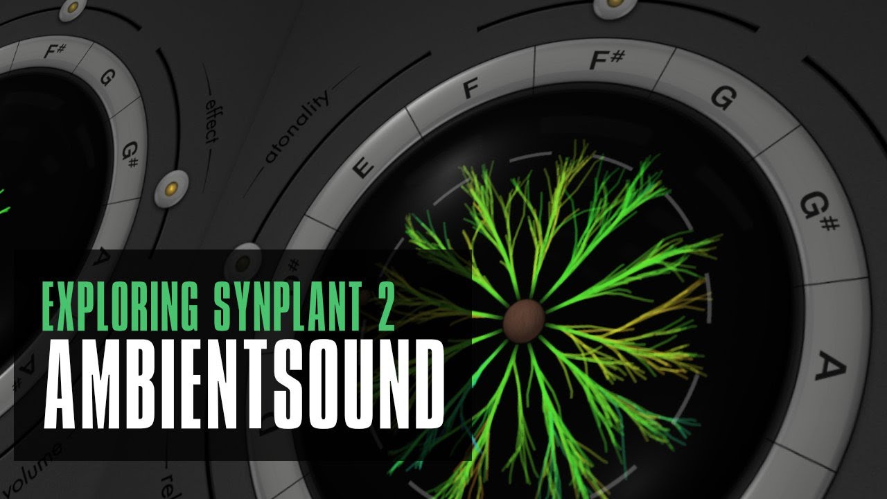 Synplant 2 is an Ambient Monster