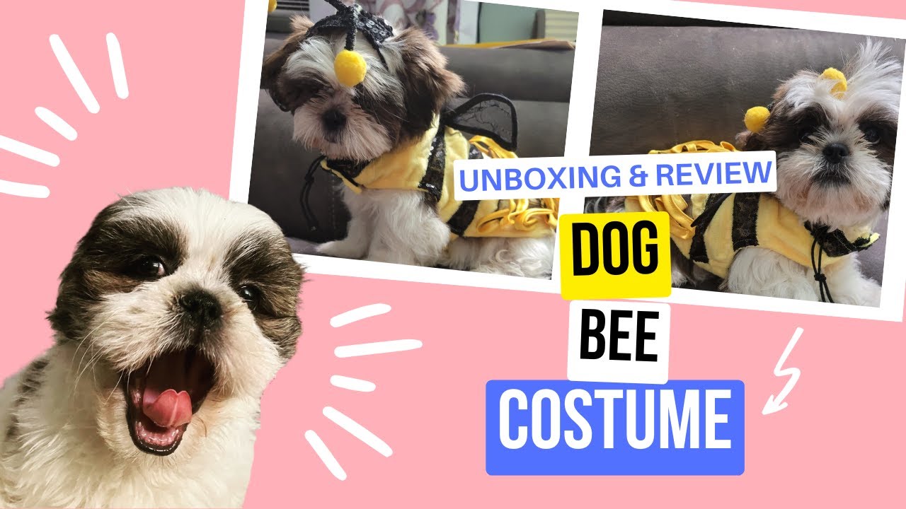 Dog Bee Costume / Unboxing & Review / Amazon / Lexus Lux Paws