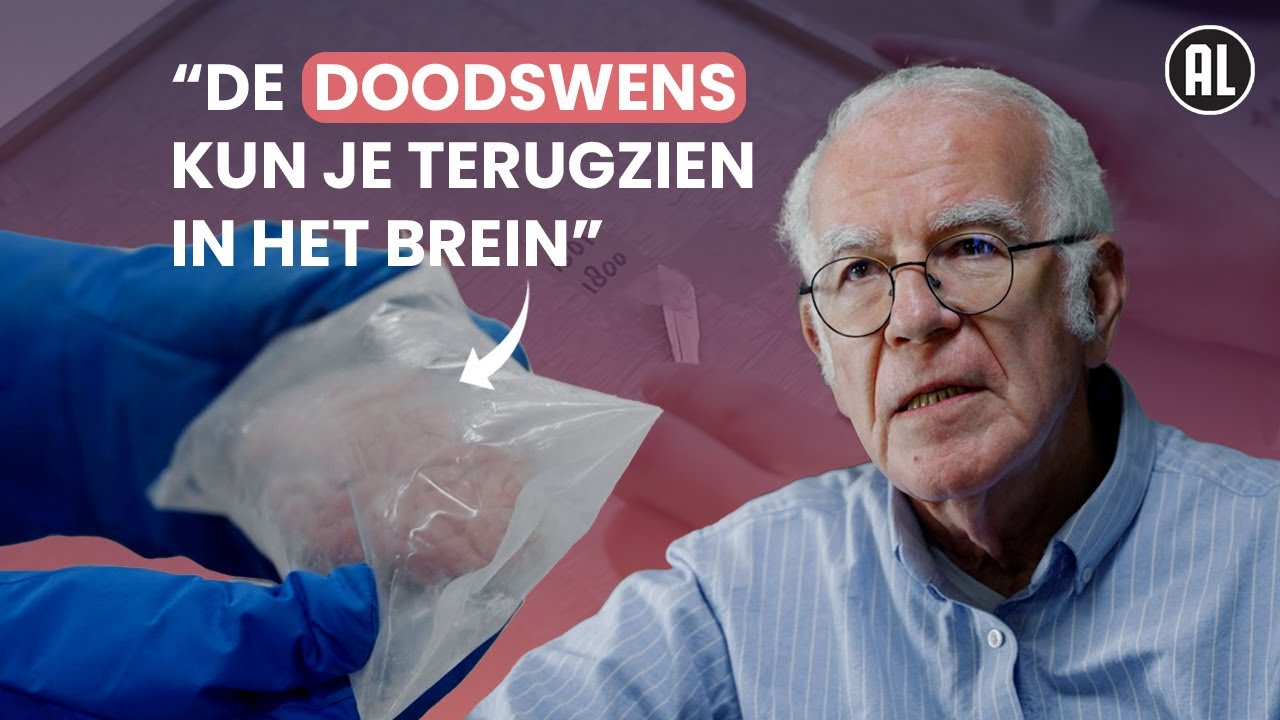 Wat gebeurt er in de hersenen bij suïcide?