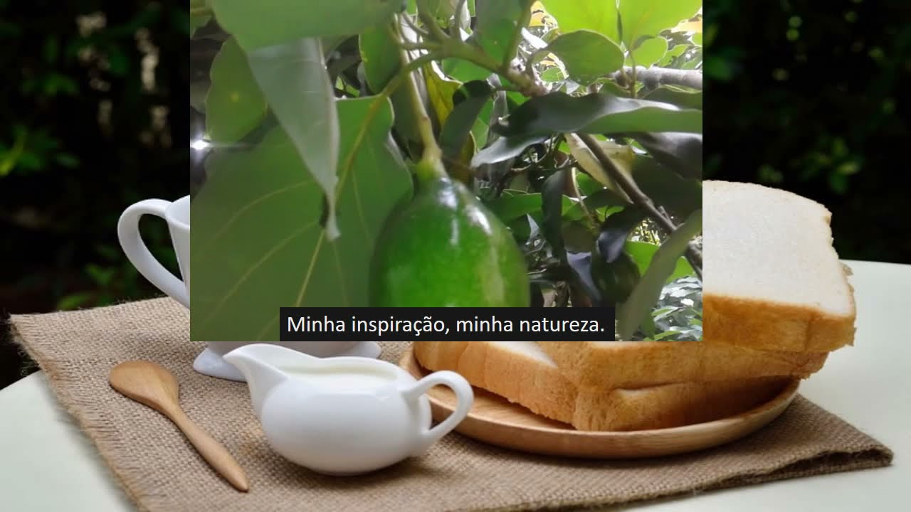Receitas-receitas fáceis natureza dicas.
