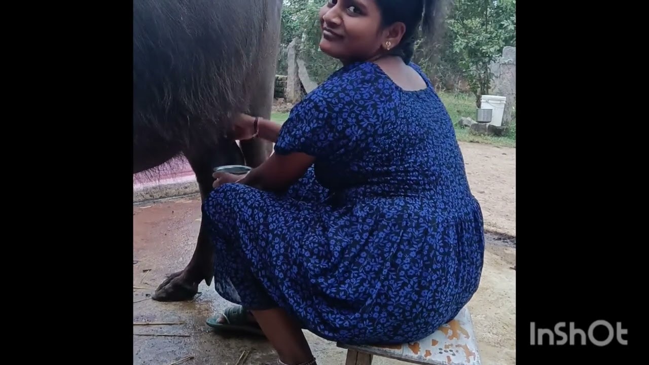 హాలిడేస్ ని ఇలా కూడా వాడుకుంటారా అరటి కాయలు వస్తున్నాయి#youtubevideos#milk#banana#viral