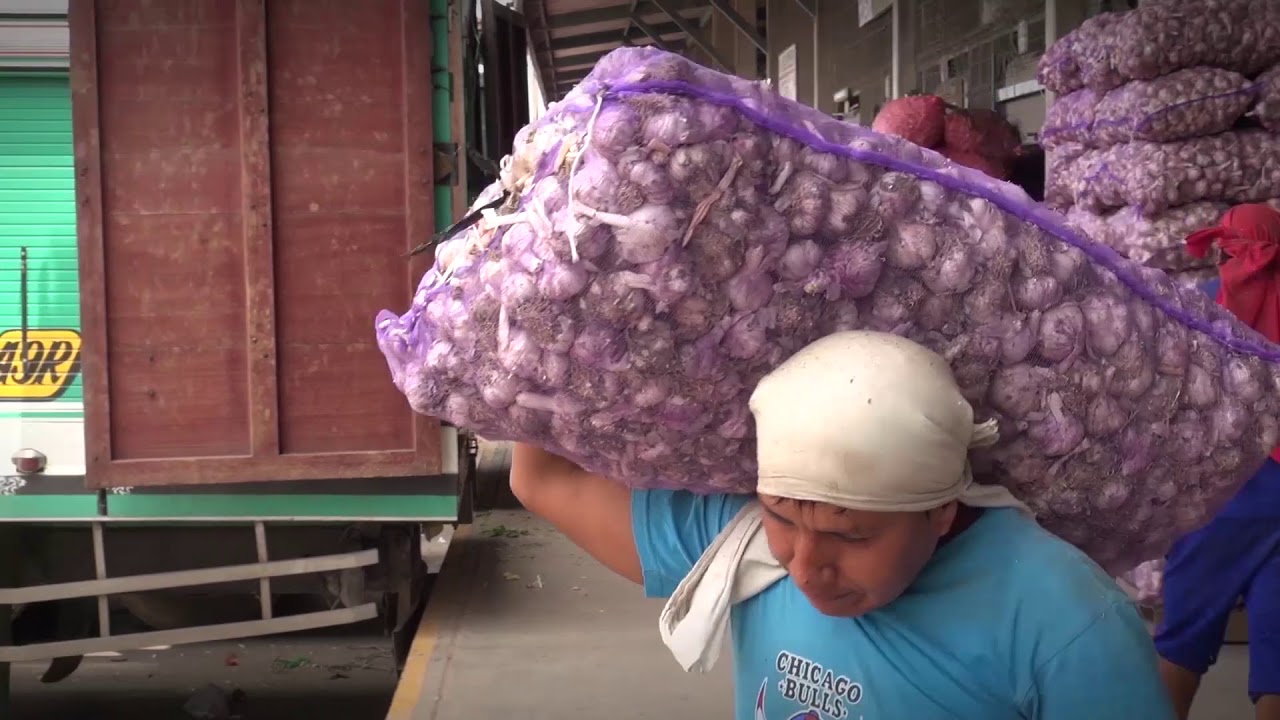 Ajos Arequipeño, el mejor ajos del Perú y del mundo !