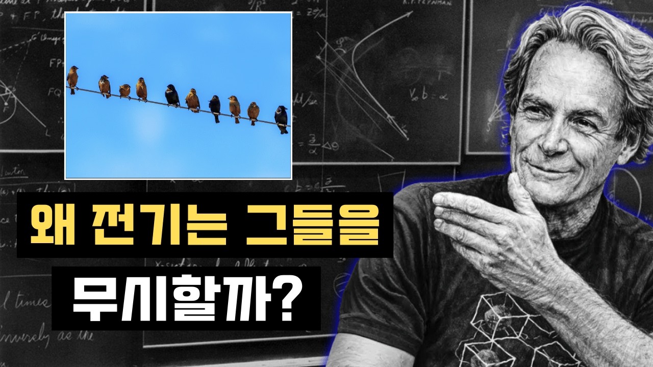 왜 새들은 전선에 앉아도 감전되지 않을까? | 리처드 파인만