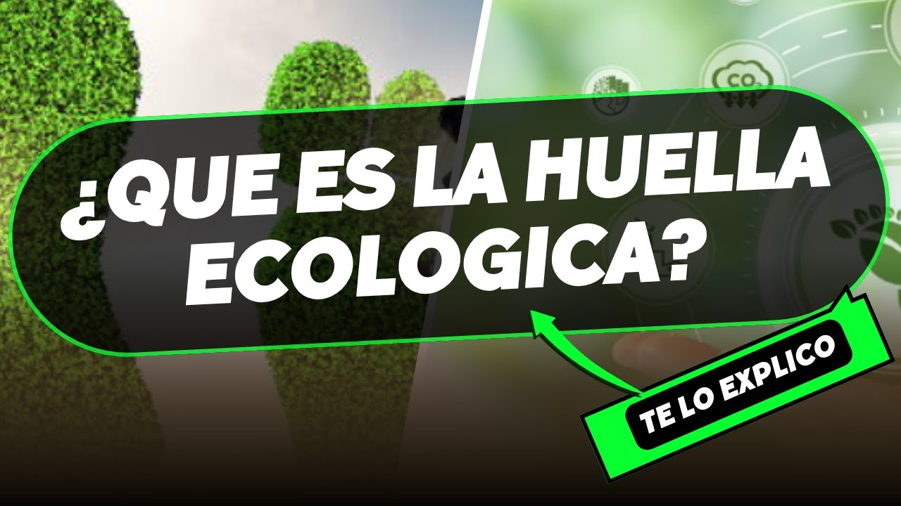 &iquest;Qu&eacute; es la Huella Ecol&oacute;gica? Explicaci&oacute;n F&aacute;cil en minutos